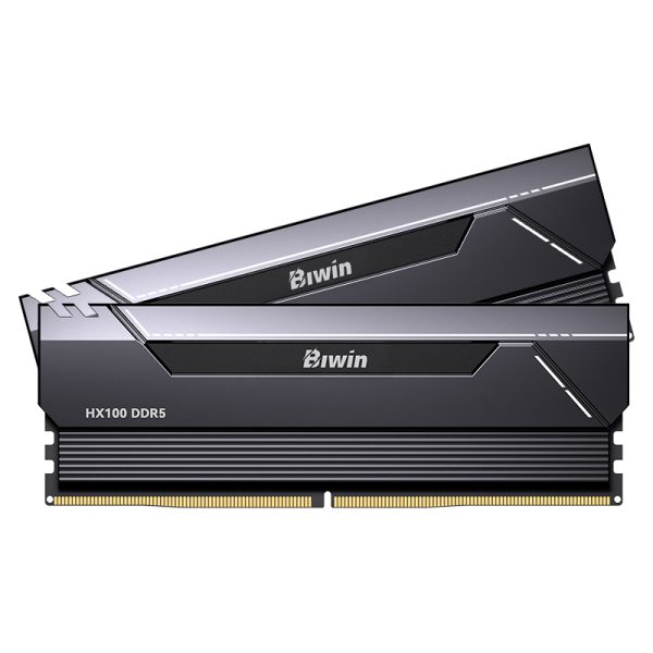 MEMORIA RAM BIWIN HX100 DDR5 32GB (2X16GB) 6000MHZ CL34