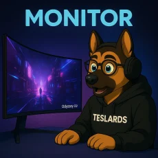 Monitor