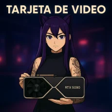 Tarjeta de Video